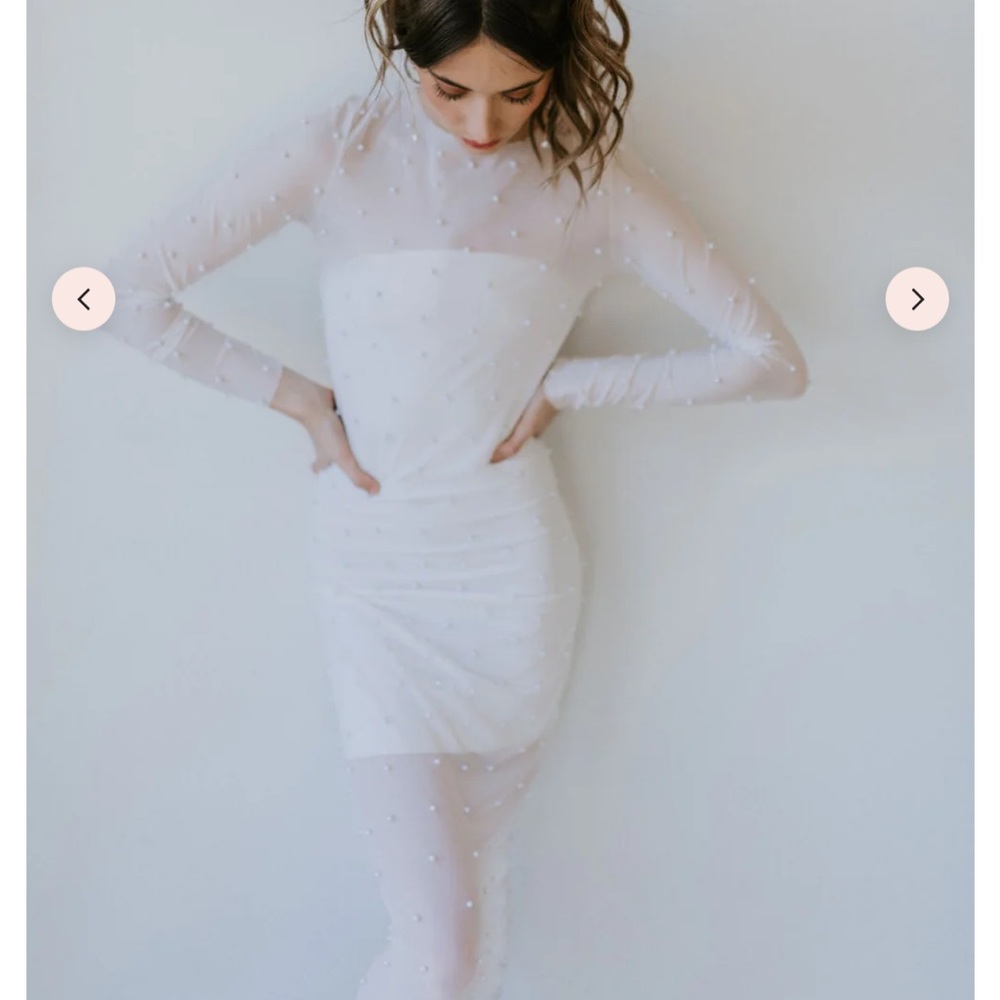 Untamed Petals Pampass Sheer Pearl Bodycon Dress